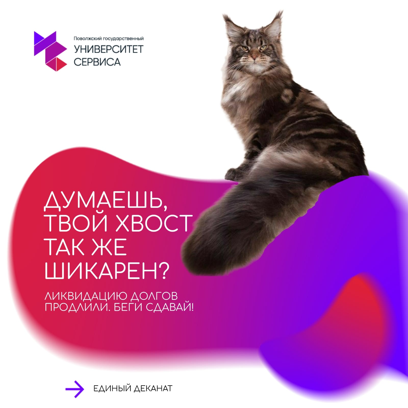 Остались "хвосты"? Читай новость!