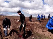 В ПВГУС пройдет акция «Лес Победы»